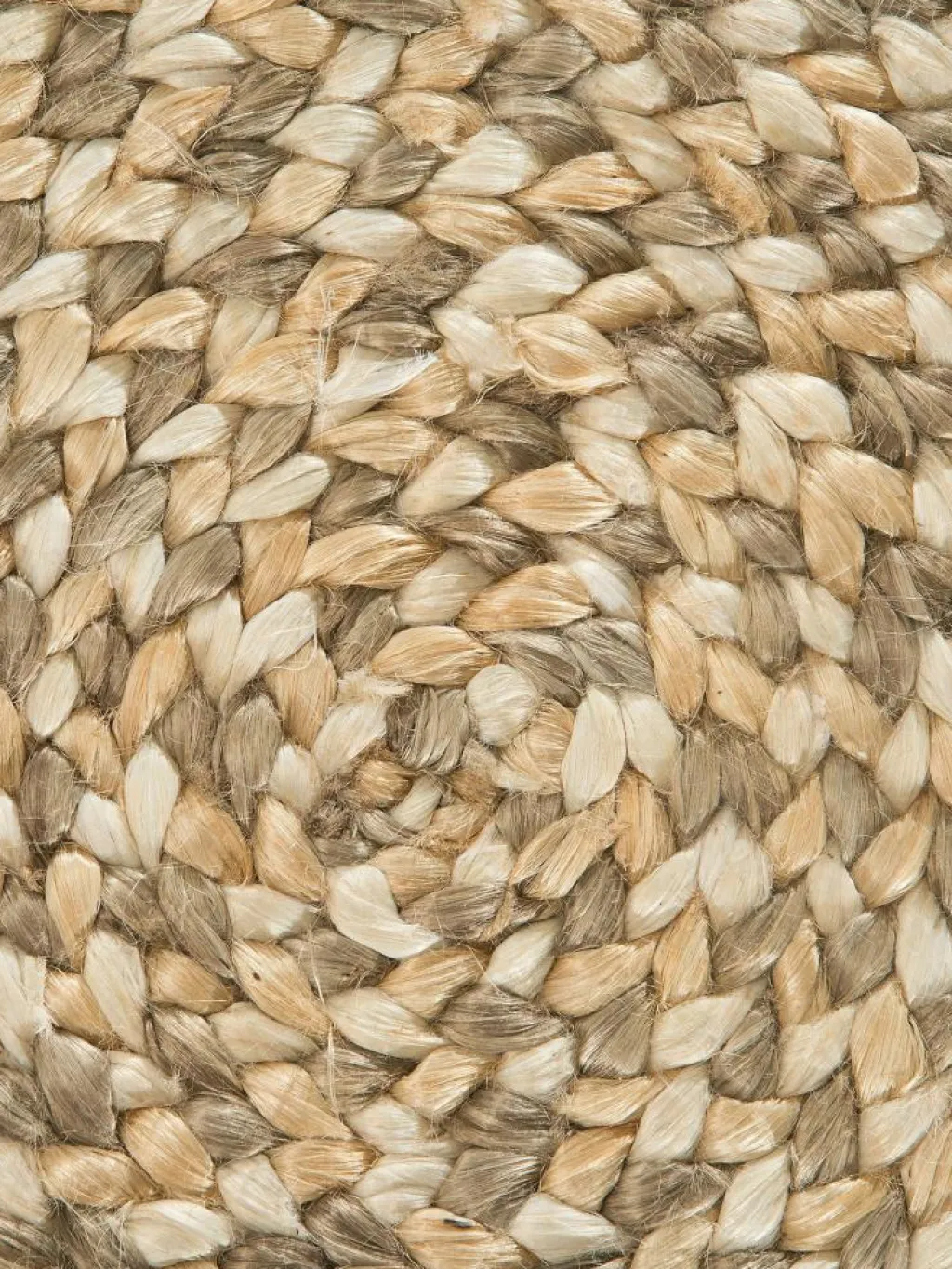 Almenara|Kibek Sale
