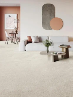 Amador|Kibek Clearance
