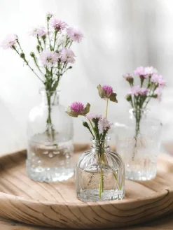 Arvida|Kibek Online