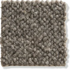 Auckland|Kibek Clearance