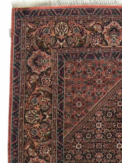 Bidjar Tekab|Kibek New
