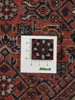 Bidjar Tekab|Kibek New