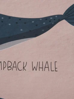 Big Whales|Kibek New