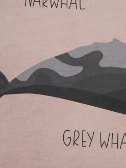 Big Whales|Kibek New
