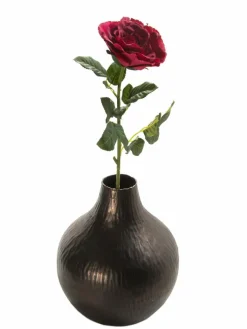 Brownie|Kibek Sale