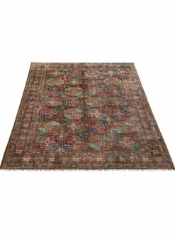 Buchara Ghazni|Kibek Clearance