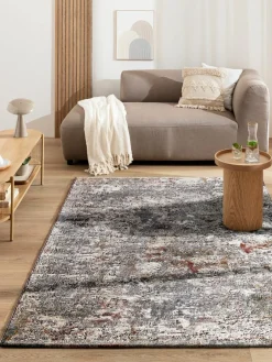 Calanthe|Kibek