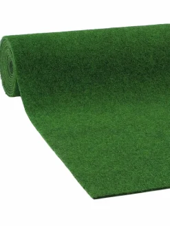 Cricket|Kibek Discount
