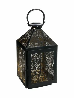 Dovena|Kibek Clearance