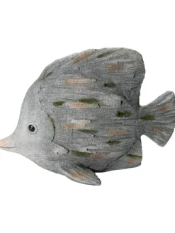 Fisch Wanda|Kibek New