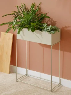 High Plants|Kibek Outlet