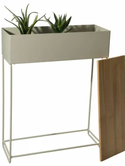High Plants|Kibek Outlet