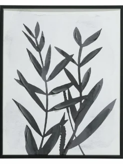 Kitala|Kibek New