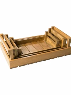 Mango Tray|Kibek Sale