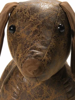 Puppy|Kibek Clearance
