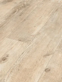 Saltum|Kibek New