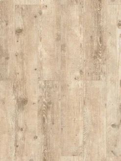 Saltum|Kibek New