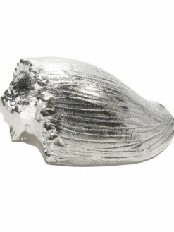 Seashell|Kibek Best