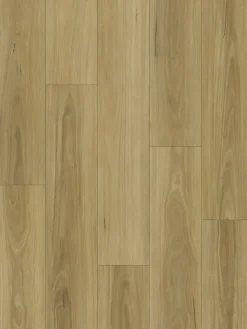 Seda|Kibek Hot