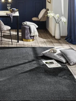 Sensation|Kibek Online