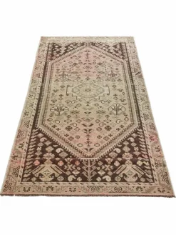 Shiraz Vintage|Kibek Best