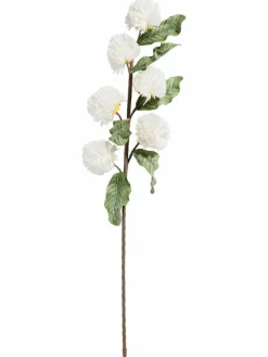 Softflower|Kibek Clearance
