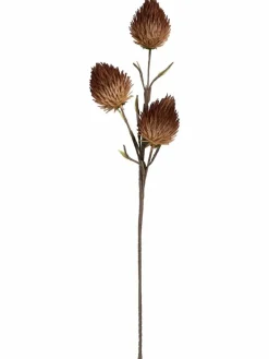 Softflower|Kibek Sale