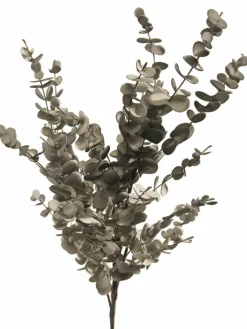 Softflower|Kibek Online
