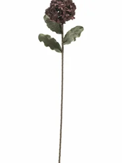 Softflower|Kibek