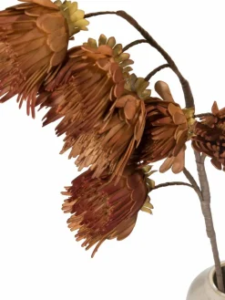 Softflower|Kibek Outlet