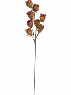 Softflower|Kibek Outlet