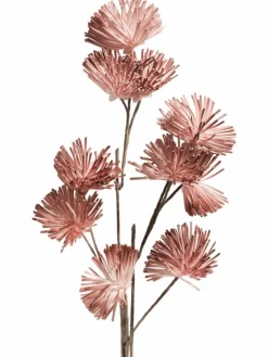 Softflower|Kibek Outlet