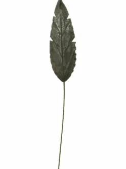 Softflower|Kibek