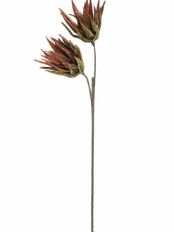 Softflower|Kibek Online