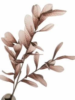 Softflower|Kibek Best