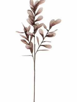 Softflower|Kibek Best