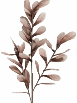 Softflower|Kibek Best