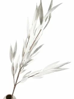 Softleaves|Kibek Sale