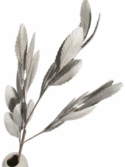 Softleaves|Kibek
