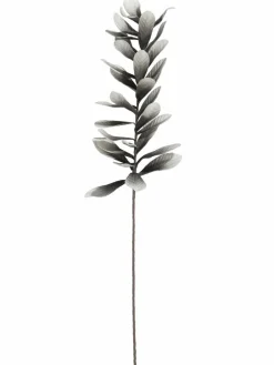 Softleaves|Kibek New