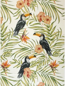 Tropical|Kibek Discount