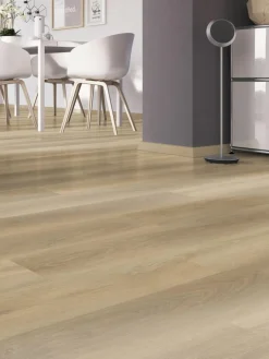 Vito|Kibek Clearance