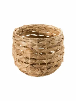 Zinie|Kibek New